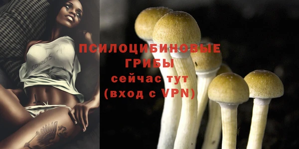 крисы Ладушкин