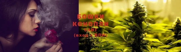 крисы Ладушкин