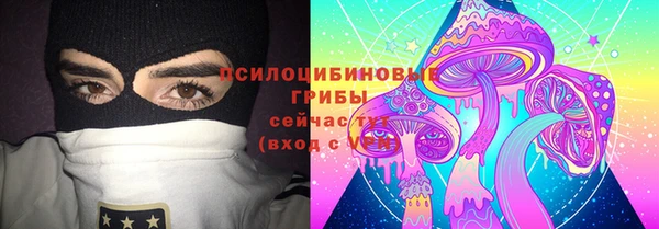 крисы Ладушкин