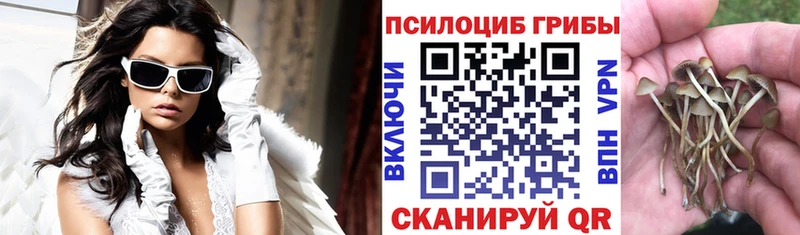 Купить где  Архангельск  Галлюциногенные грибы ЛСД 